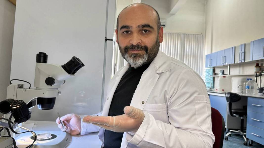 Bu mevsimde kamp yapanlar şimdi yandı: Sayısı hızla artıyor! Uzman isim uyardı, bunun şakası yok 14